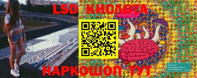 дмт Новозыбков