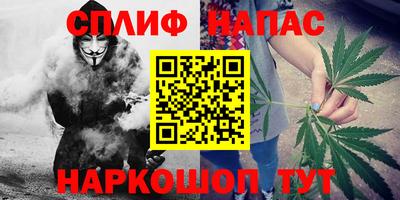 тгк Новокубанск