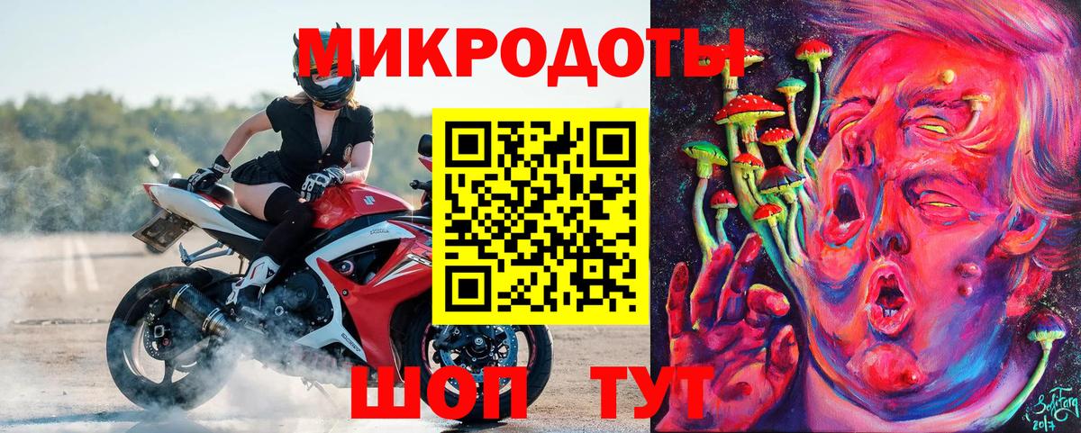 Псилоцибиновые грибы Psilocybe  Вход с VPN  Усинск 